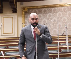برلماني: القاهرة تتحرك وفق رؤية واضحة تهدف إلى منع تصاعد الصراعات والحفاظ على استقرار الدول العربية