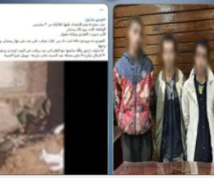 القبض على المتهمين بالتعدى على فتاة مشردة فى شبرا الخيمة