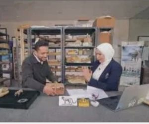 اكتشاف حفرية نادرة بالصحراء الغربية.. "مصر تستطيع" تكشف التفاصيل 