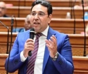 النائب أيمن محسب: توجيهات الرئيس السيسى ترسخ لاقتصاد إنتاجى وتعالج اختناقات الصناعة