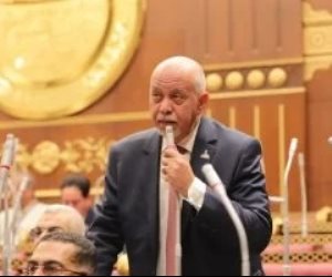 النائب حازم الجندى: الموازنة الجديدة تعكس انتقالا نحو اقتصاد يقوده القطاع الخاص