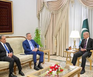 رئيس الوزراء الباكستاني يستقبل وزيرى الخارجية المصرى والتركي لخفض التصعيد