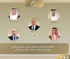 اتصالات هاتفية بين وزير الخارجية ونظرائه في قطر والإمارات والسعودية والأردن لتنسيق جهود خفض التصعيد