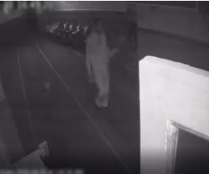 كشف ملابسات سرقة شخص لخلاط مياه من داخل أحد المساجد بالشرقية