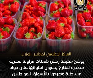 الفراولة أمنة وغير مسرطنة.. مجلس الوزراء يؤكد جودة وسلامة مختلف المنتجات الزراعية المصرية