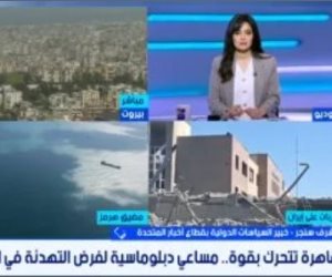 خبير: مصر تقود جهود التهدئة فى الشرق الأوسط بدبلوماسية نشطة لاحتواء التصعيد