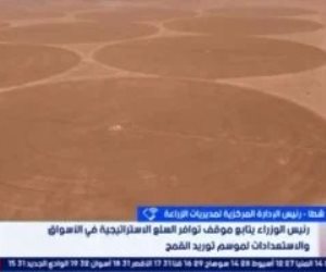 الزراعة: مصر تستهدف توريد 5 ملايين طن قمح وتوفر مخزونا لـ 7 أشهر