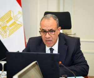 وزير الخارجية يشارك فى الاجتماع الافتراضي مع أبناء الجالية المصرية في الأردن