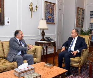 وزير الخارجية يستقبل رئيس لجنة الشئون الأفريقية بمجلس النواب 