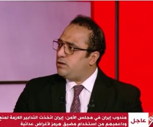 محمد الشرقاوي: أي قرار من مجلس الأمن قد يفتح الباب لتدخل أطراف جديدة وتوسّع الصراع (فيديو)
