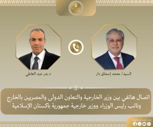 وزيرا خارجية مصر وباكستان يبحثان آخر مستجدات الوضع الاقليمى وجهود خفض التصعيد 