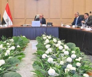 وزير الاستثمار يترأس اجتماع مجموعة العمل المعنية بالعلاقات المصرية الكورية لاستعراض مستهدفات التعاون المشترك