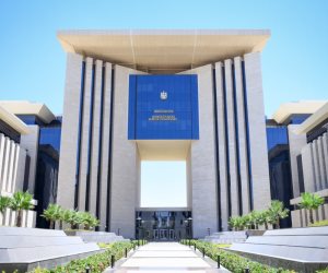 وزيرا خارجية مصر وباكستان يبحثان آخر مستجدات الوضع الإقليمى