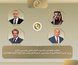 وزير الخارجية يناقش تطورات الأوضاع الإقليمية مع نظيريه السعودي والعراقي ومدير عام الوكالة الدولية للطاقة الذرية