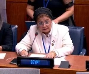 نائب وزير الصحة: خفض معدل الإنجاب الكلى إلى 2.1 طفل لكل سيدة