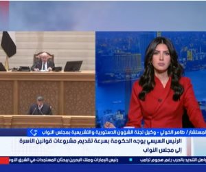 طاهر الخولي: توجيهات الرئيس السيسي بشأن قوانين الأسرة خطوة تشريعية حاسمة