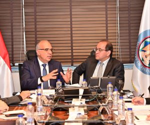 وزيرا المالية والموارد المائية والري يبحثان تمويل مشروعات التحول إلى أنظمة الري الحديث