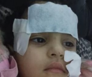 النيابة تعاين موقع حادث هجوم أسد على طفلة داخل السيرك القومي بالعجوزة