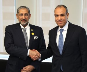 وزير الخارجية يؤكد ثوابت الموقف المصري من القضية الفلسطينية ويبحث مع البنك الدولي دعم إعادة إعمار غزة