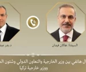 وزير الخارجية يبحث مع نظيره التركى مستجدات الأوضاع الإقليمية