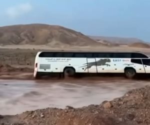 وزير الزراعة: تقديم دعم فني لمتضرري السيول بتجمع وادي سعال فى سانت كاترين