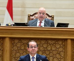 وزير المالية يكشف تحديد متوسط سعر الصرف عند 47 جنيها بموازنة 2026/2027