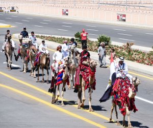 شرم الشيخ تتوج عرس الهجن.. ختام مبهر لبطولة تنشيطية بحضور عربي وزخم جماهيرى