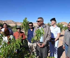 بعد تأثر أراضيهم بالأحوال الجوية والسيول.. جولة ميدانية لمحافظ جنوب سيناء لدعم متضرري وادي سعال (صور)