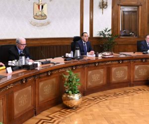 رئيس الوزراء يوجه بالإعلان عن مبادرة تحفيزية للمصانع والمنازل للتحول إلى الطاقة الشمسية