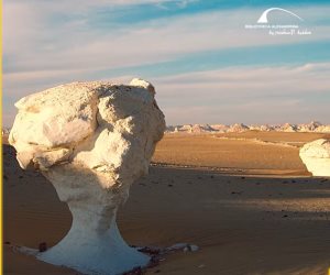 ضمن مشروع "عارف.. أصلك مستقبلك" .. مكتبة الإسكندرية تُطلق وثائقي جديد بعنوان "محمية الصحراء البيضاء" (فيديو)