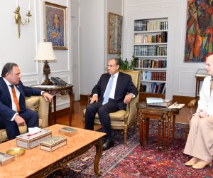 وزير الخارجية يلتقي رئيس لجنة الشئون العربية بمجلس النواب