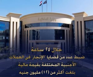 بقيمة (12) مليون جنيه.. ضبط عددا من قضايا الإتجار غير المشروع بالنقد الأجنبي