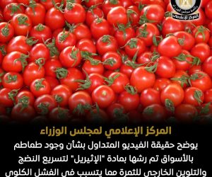 مجلس الوزراء يوضح حقيقة الفيديو المتداول بوجود طماطم بالأسواق تم رشها بـ «الإثيريل» لتسريع النضج