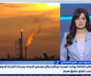خبير اقتصادي: إغلاق مضيق هرمز ينذر بركود تضخمي والقطاعات الحيوية في مرمى النيران