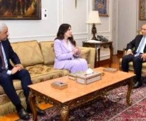 وزير الخارجية يستقبل رئيس بنك التنمية الأفريقي