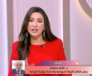 مسئول بوزارة الزراعة: باكل هياكل الفراخ وهي صالحة للأكل ومفيهاش مشكلة