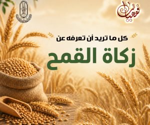 في موسم الحصاد.. الأزهر للفتوى يوضح أحكام زكاة القمح