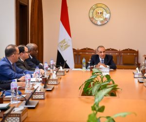 وزير الخارجية يلتقي ممثلي الشركات المصرية العاملة في أفريقيا لتعزيز النشاط الاقتصادي بالقارة