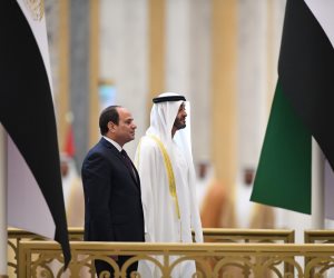 برلماني: مصر والإمارات تمثلان معًا صمام أمان للاستقرار