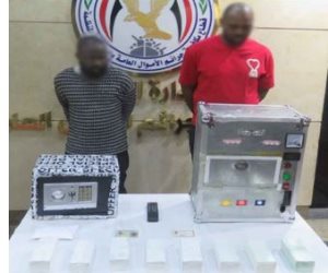 ضبط شخصان يحملان جنسية إحدى الدول متهمان بالنصب على المواطنين 