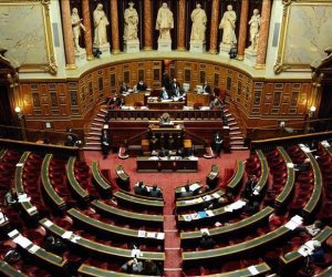 مجموعة الصداقة بالبرلمان الفرنسى: مصر صوت الحكمة وتعمل على تهدئة المنطقة