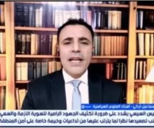 أستاذ علوم سياسية: مصر جاهزة لدعم أشقائها ضد أى تهديدات إقليمية