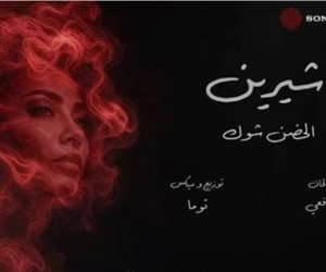 نجوم الفن يدعمون شيرين عبد الوهاب.. آخرهم السقا