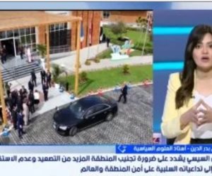 أستاذ علوم سياسة: أمن الخليج ثابت راسخ فى السياسة الخارجية المصرية