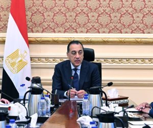 الحكومة تبدأ إجراءات التحول نحو السيارات الكهربائية.. خطة لتحسين كفاءة تشغيل أسطول السيارات الحكومية