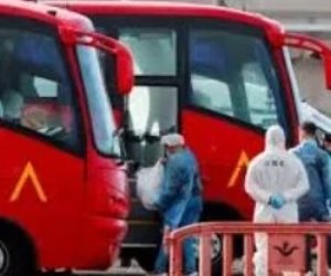 مسئولون: نقل ركاب سفينة فيروس هانتا الأصحاء لمطار تينيريفي بواسطة حافلات