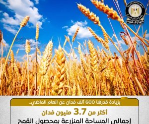 3.7 مليون فدان بزيادة 600 ألف فدان عن الموسم السابق.. رئيس الوزراء يتابع مستجدات موسم توريد القمح المحلي 
