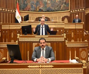 بحضور الوزير.. الشيوخ يناقش تطوير ملف الطيران واوضاع شركة مصر للطيران 