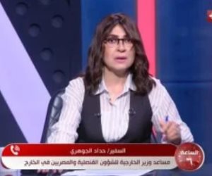 الخارجية: البحارة المصريين على السفينة المخطوفة قبالة سواحل الصومال بصحة جيدة