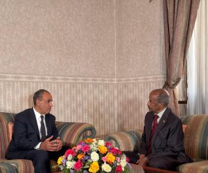 وزير الخارجية يلتقي نظيره الإريتري لبحث تعزيز الشراكة الاستراتيجية والتنسيق حول تطورات الأوضاع الإقليمية